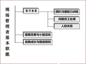 優(yōu)秀班組長必備管理技能 軟件與信息技術(shù)服務業(yè)的投資與管理