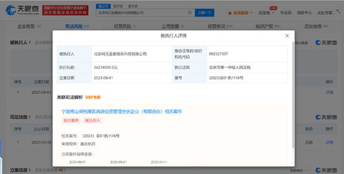 網(wǎng)元圣唐被強(qiáng)制執(zhí)行3821萬元，背后折射數(shù)字內(nèi)容制作服務(wù)風(fēng)險(xiǎn)
